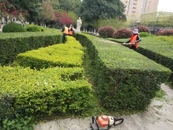 无锡园林城市绿化