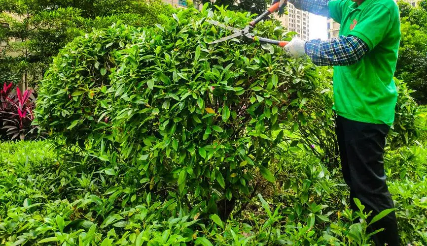 道路绿化工程围栏设计规范