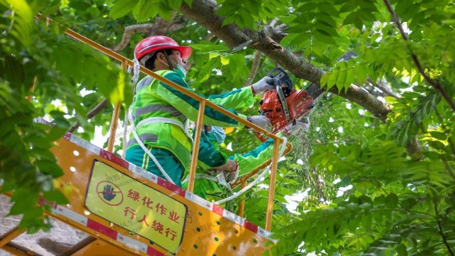 郑州哪里有绿化工程师培训