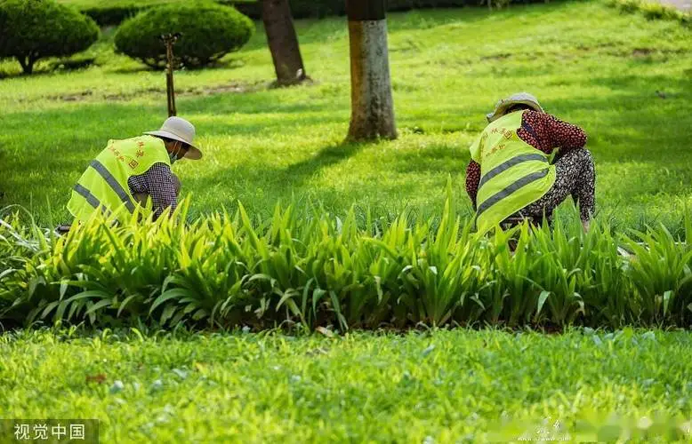 2018省级园林景观设计